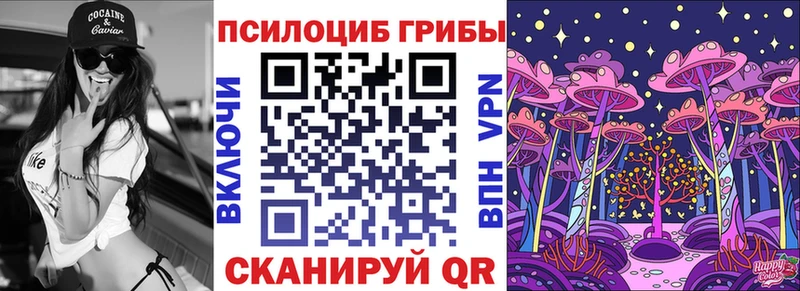 блэк спрут зеркало  Краснообск  Галлюциногенные грибы прущие грибы 